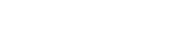 Arcturus Labs